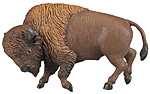 Bison.jpg