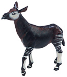 Okapi.jpg