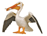 Pelican.jpg