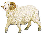 Ram.jpg