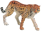 cheetah.jpg