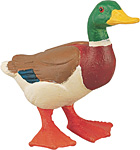duck.jpg