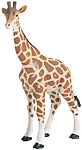 giraffe.jpg
