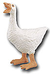 goose.jpg