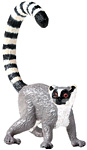 lemur.jpg