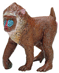 mandrill.jpg