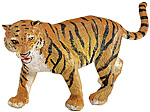 tiger.jpg